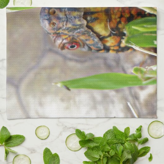 Box Turtle Geschirrtuch (Gefaltet)