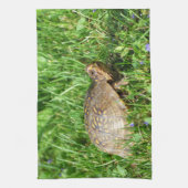 Box Turtle Geschirrtuch (Vertikal)