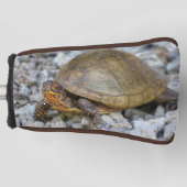 Box Turtle Golf Headcover (Vorderseite)