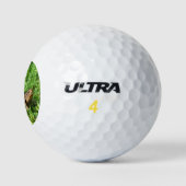 Box Turtle Golfball (Logo)