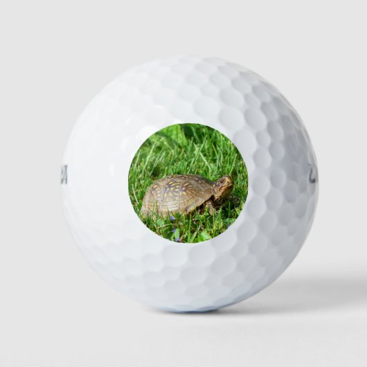 Box Turtle Golfball (Vorderseite)
