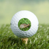 Box Turtle Golfball (Insitu T-Shirt)