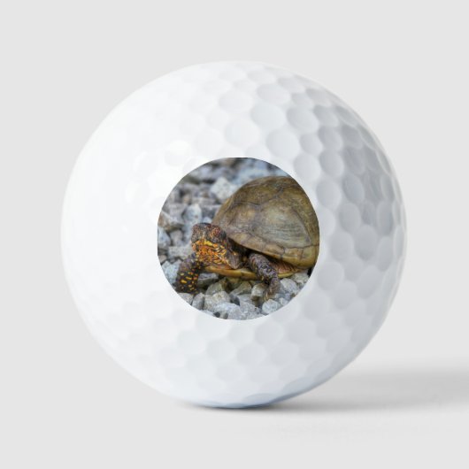 Box Turtle Golfball (Vorderseite)