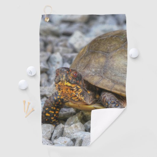 Box Turtle Golfhandtuch (Insitu)