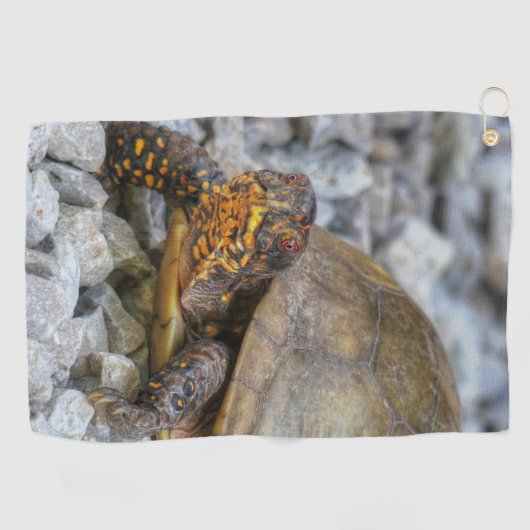 Box Turtle Golfhandtuch (Horizontal)