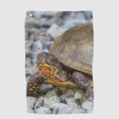 Box Turtle Golfhandtuch (Vorderseite)