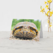 Box Turtle Greycard Karte (Gelbe Blume)