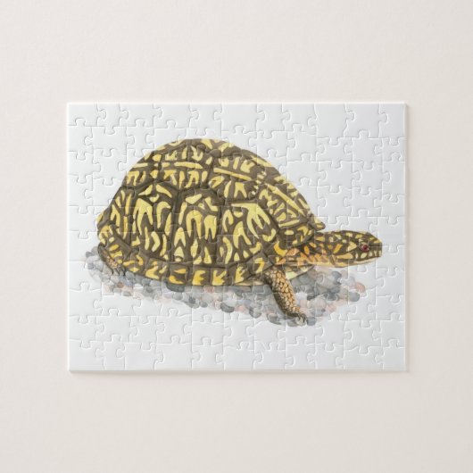 Box Turtle Jigsaw Puzzle (Horizontal)