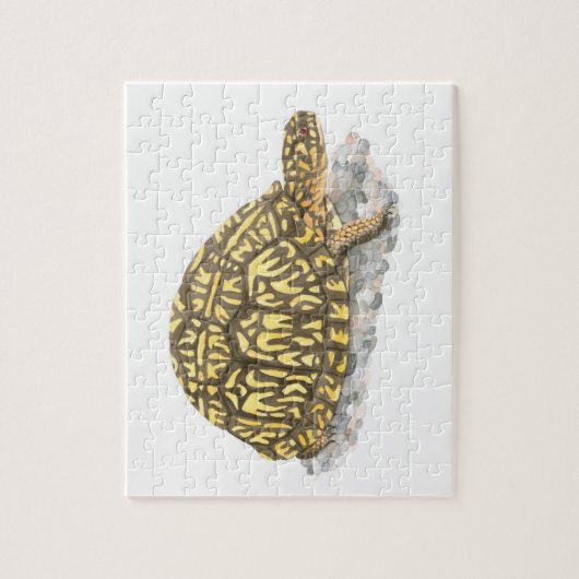 Box Turtle Jigsaw Puzzle (Vertikal)