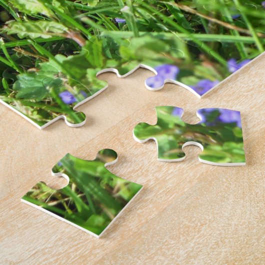 Box Turtle Jigsaw Puzzle (Seite)