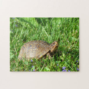 Box Turtle Jigsaw Puzzle