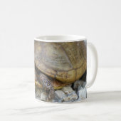 Box Turtle Kaffeetasse (VorderseiteRechts)