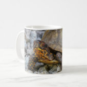 Box Turtle Kaffeetasse (Vorderseite Links)