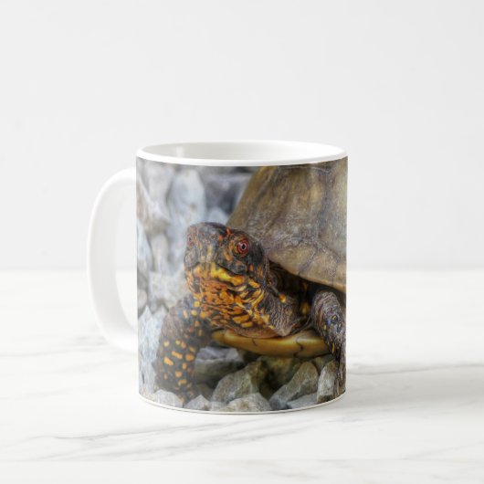 Box Turtle Kaffeetasse (Vorderseite Links)