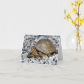 Box Turtle Karte (Gelbe Blume)