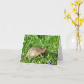 Box Turtle Karte (Gelbe Blume)