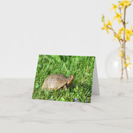 Box Turtle Karte (Gelbe Blume)