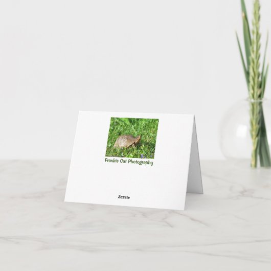 Box Turtle Karte (Rückseite)