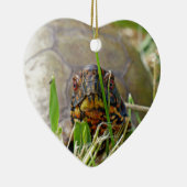 Box Turtle Keramik Ornament (Rechts)