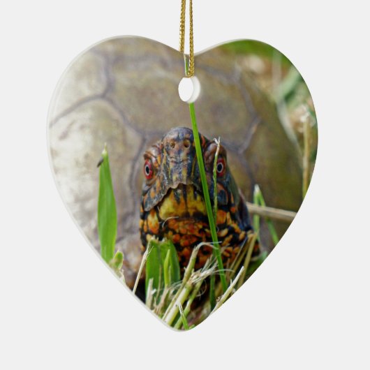 Box Turtle Keramik Ornament (Rechts)