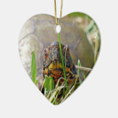 Box Turtle Keramik Ornament (Links)