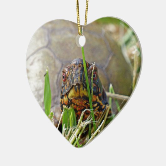 Box Turtle Keramik Ornament (Links)