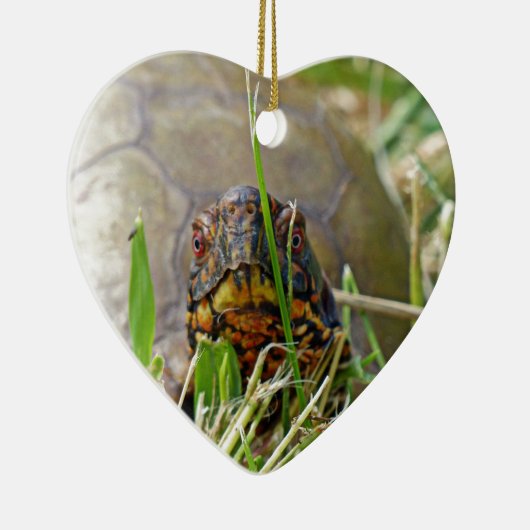 Box Turtle Keramikornament (Rechts)