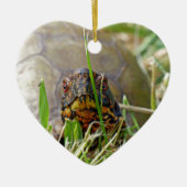 Box Turtle Keramikornament (Vorne)