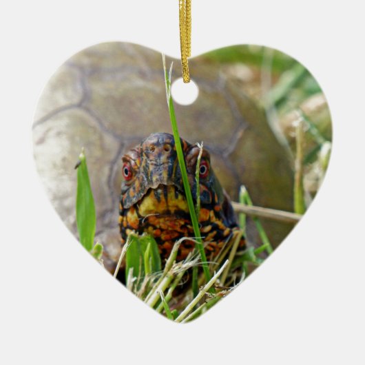 Box Turtle Keramikornament (Vorne)