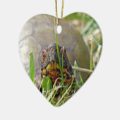 Box Turtle Keramikornament (Links)