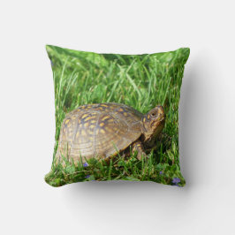Box Turtle Kissen