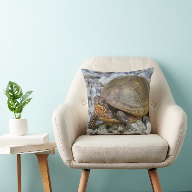 Box Turtle Kissen (Stuhl )