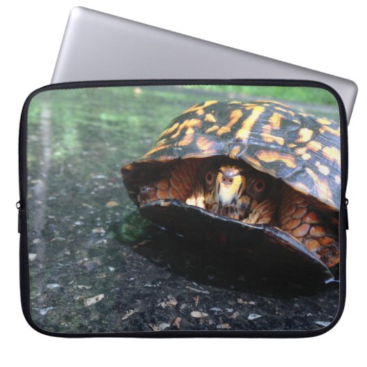 Box Turtle Laptopschutzhülle (Vorderseite)