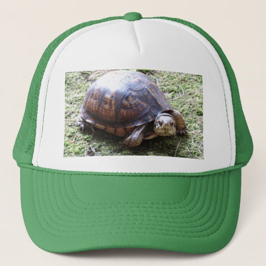 Box Turtle - Mossy Path Truckerkappe (Vorderseite)