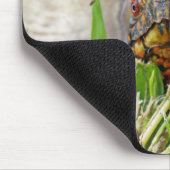 Box Turtle Mousepad (Ecke)