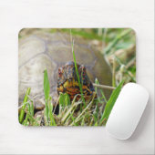 Box Turtle Mousepad (Mit Mouse)