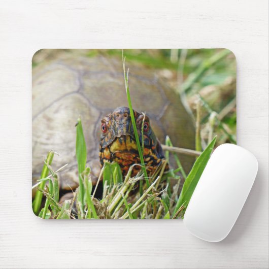 Box Turtle Mousepad (Mit Mouse)