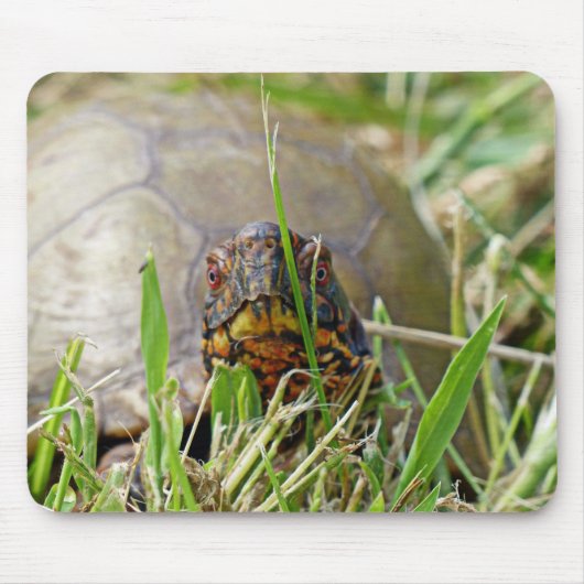 Box Turtle Mousepad (Vorne)