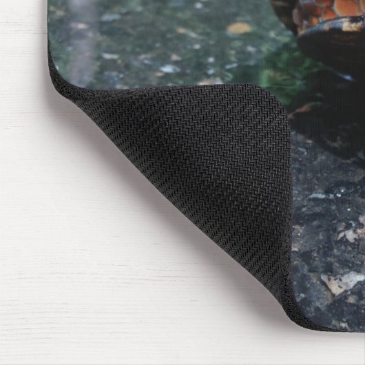 Box Turtle Mousepad (Ecke)