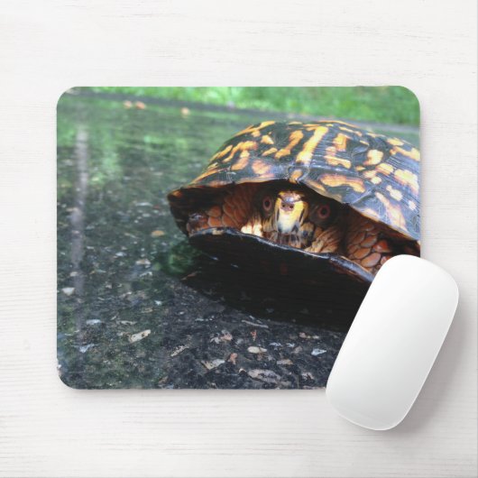 Box Turtle Mousepad (Mit Mouse)