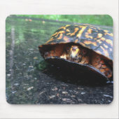 Box Turtle Mousepad (Vorne)