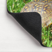 Box Turtle Mousepad (Ecke)