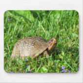 Box Turtle Mousepad (Vorne)