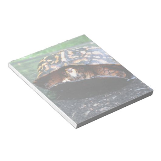 Box Turtle Notizblock (angewinkelt)