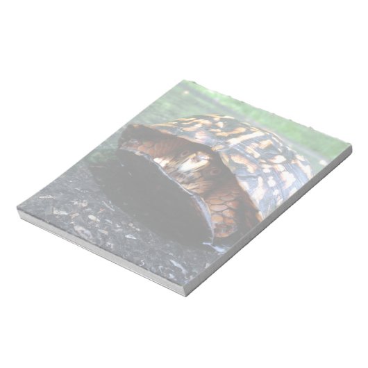 Box Turtle Notizblock (Rotiert)