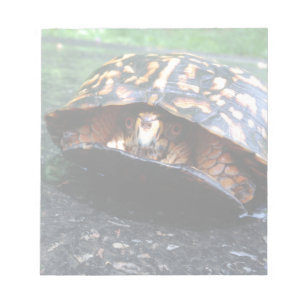 Box Turtle Notizblock