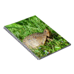 Box Turtle Notizblock