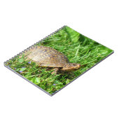 Box Turtle Notizblock (Linke Seite)