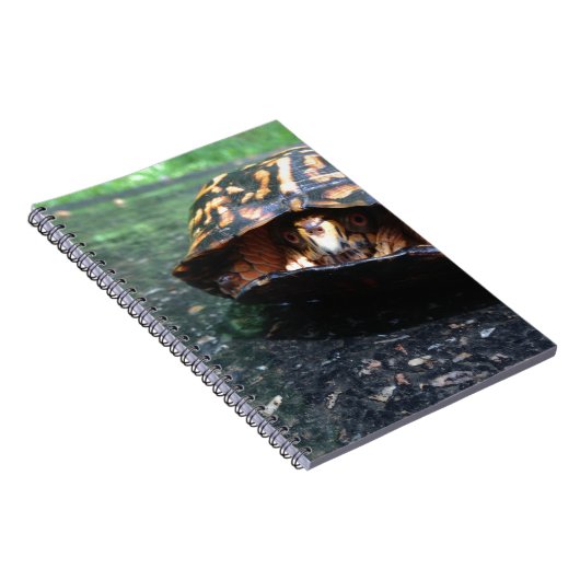 Box Turtle Notizblock (Rechte Seite)