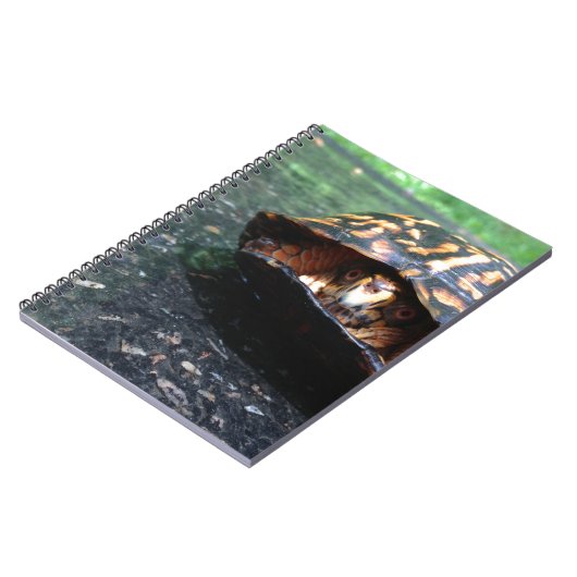 Box Turtle Notizblock (Linke Seite)